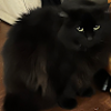 kimame